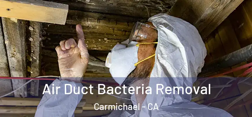  Air Duct Bacteria Removal Carmichael - CA