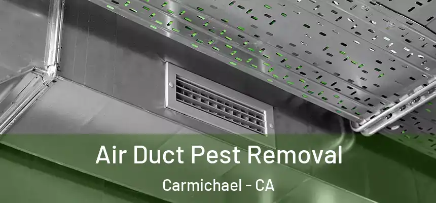  Air Duct Pest Removal Carmichael - CA