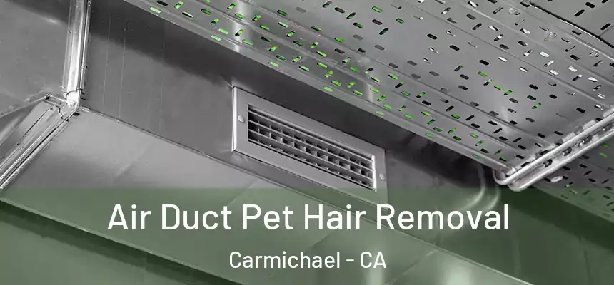  Air Duct Pet Hair Removal Carmichael - CA