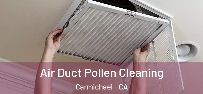  Air Duct Pollen Cleaning Carmichael - CA
