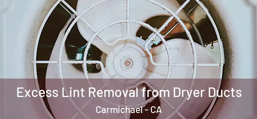  Excess Lint Removal from Dryer Ducts Carmichael - CA