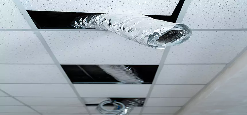 Our Air Duct Pet Hair Removal Services in Carmichael, CA