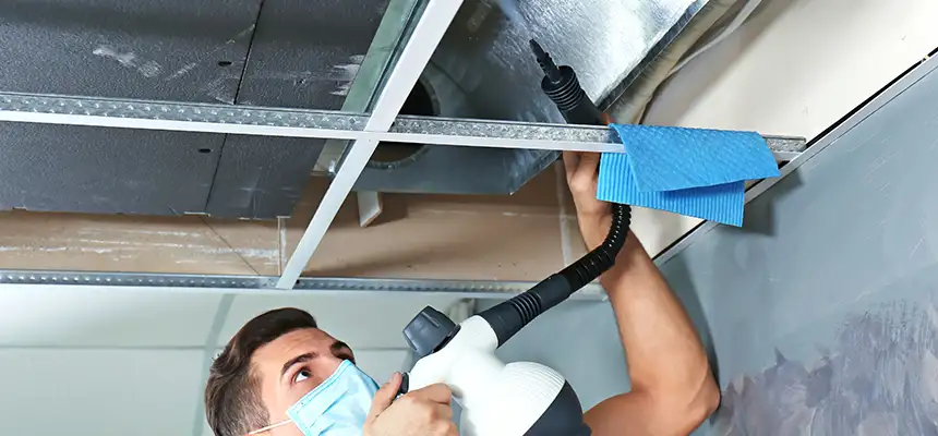 Our Air Duct Rodent Removal Services in Carmichael, CA