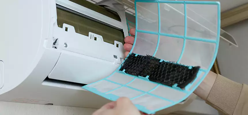 Gentle Ductwork Odor-Control Pet Dander Duct Cleaning in Carmichael, CA