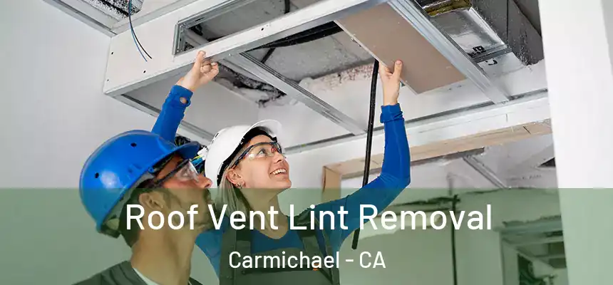  Roof Vent Lint Removal Carmichael - CA