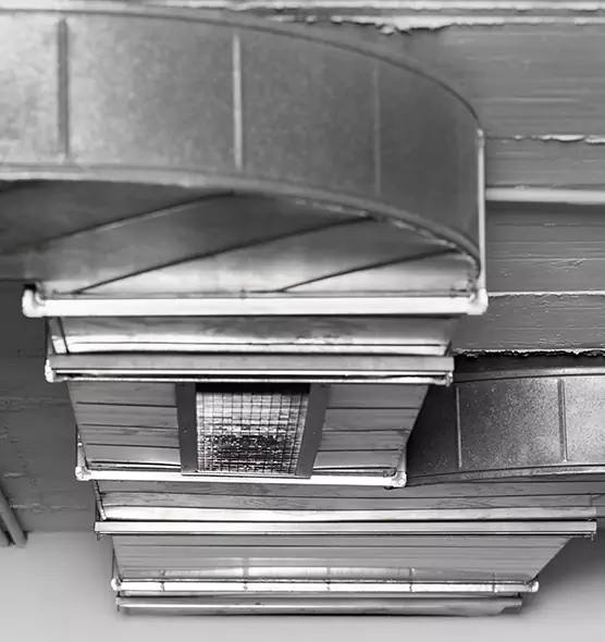 Professional Air Duct Pet Hair Removal in Carmichael, CA