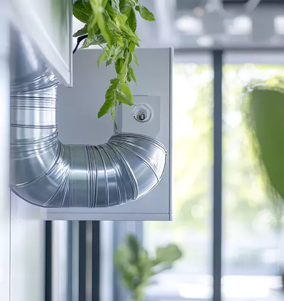 Professional Eco-Safe Dryer Vent Cleaning in Carmichael, CA