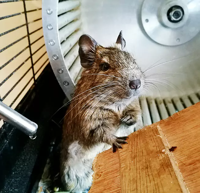 Why Homeowners & Businesses Trust Us Carmichael, CA