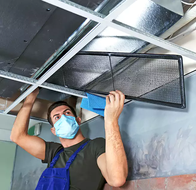 Why Homeowners Businesses Trust Us in Carmichael, CA