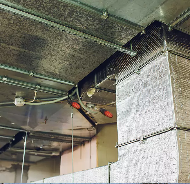 Why Homeowners & Businesses Trust Us Carmichael, CA?