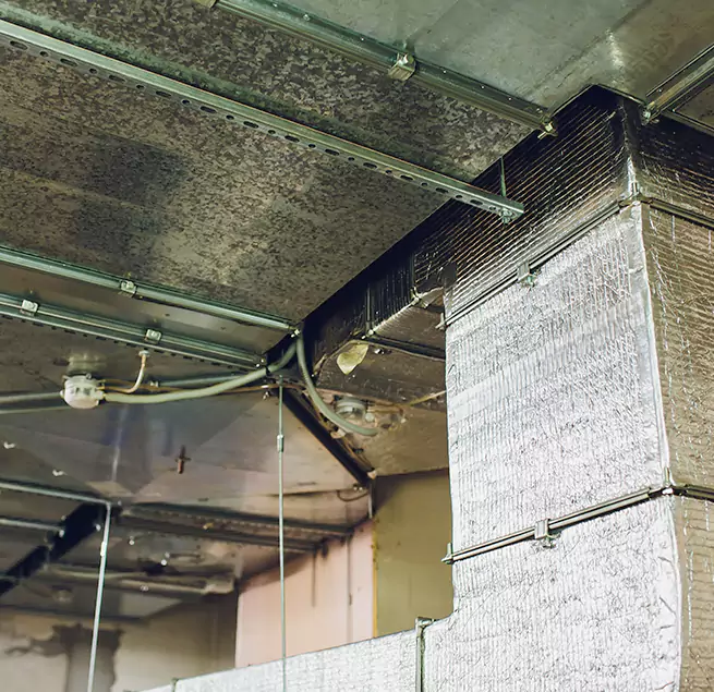 Why Homeowners & Businesses Trust Us in Carmichael, CA?